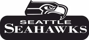 Seattle seahawks 49ers