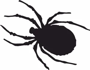 Spider silhouette