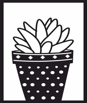cactus Succulents plant pot