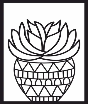 Succulents cactus plant pot