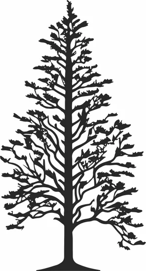 pine Tree Silhouette