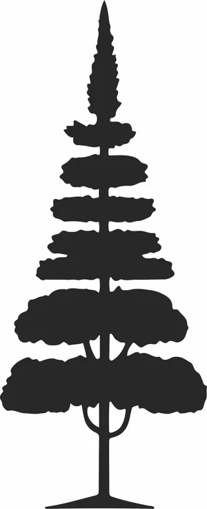 pine Tree vector Silhouette
