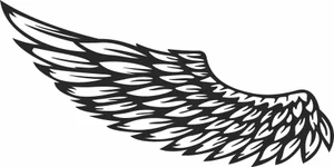 angel wing