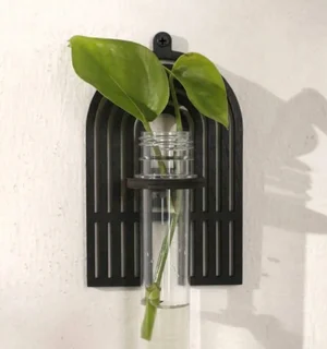 alphabet plant propagation station A