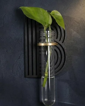 alphabet plant propagation station B