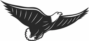 Soaring Bald Eagle Wide Wingspan Flight Silhouette