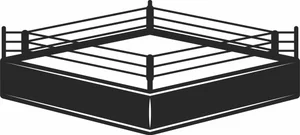 Professional Boxing Ring Arena Sign