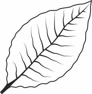 Green Tobacco Leaf Illustration