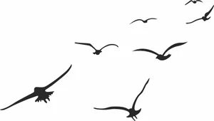Flock of Flying Birds Silhouette