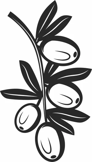 Olive Branch with Fruits and Leaves Silhouette