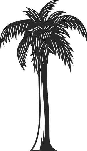 Tropical Coconut Palm Tree Silhouette